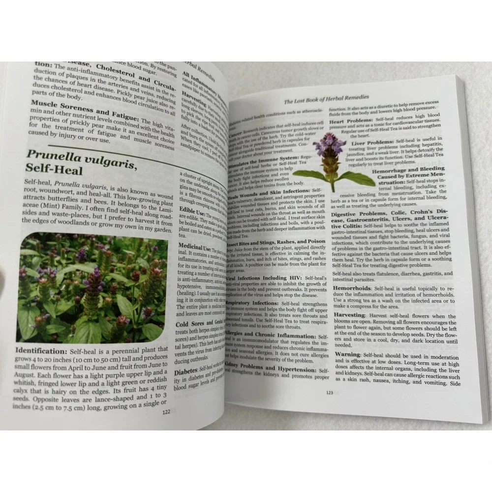 The Lost Book of Herbal Remedies Nicole Apelian Claude Davis Plant Medicine 2021